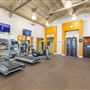 Rehabilitation, Medical & Dental Facility