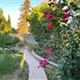 Beautiful Villa with a beautiful backyard on a large lot