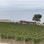 Catalina View Gardens aka Point View