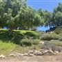 Catalina View Gardens aka Point View