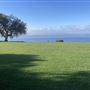 Catalina View Gardens aka Point View