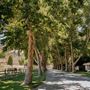 Alisal Ranch