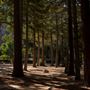 Zaca Lake