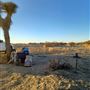 Desert Bliss