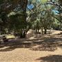 Tapia Park @ Malibu Creek State Park (SP)