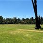 Lacy Park