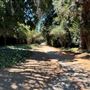 Lacy Park