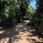 Lacy Park