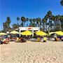 Perry's Cafe & Beach Rentals
