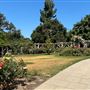 Huntington Library, Art Museum, and Botanical Gardens