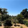 Huntington Library, Art Museum, and Botanical Gardens