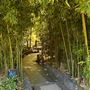 Huntington Library, Art Museum, and Botanical Gardens