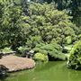 Huntington Library, Art Museum, and Botanical Gardens