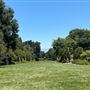 Huntington Library, Art Museum, and Botanical Gardens