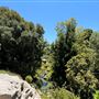Huntington Library, Art Museum, and Botanical Gardens