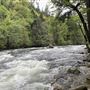 Dunsmuir City Park Sacramento River