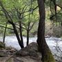 Dunsmuir City Park Sacramento River
