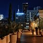Savanna Rooftop