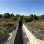Hansen Dam Recreation Center / Department of Recreation & Parks City of Los Angeles' Land Leased From U.S. Army Corps of Engineers