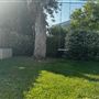 Rancho Park Traditional 1930 Home