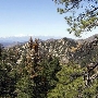 Holcomb Valley  - San Bernardino National Forest & Campground