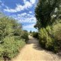Sepulveda Basin Wildlife Preserve / Woodley Park