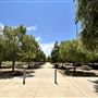 Sepulveda Basin Sports Complex
