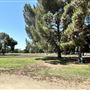 Woodley Park