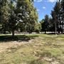 Woodley Park
