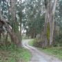 Burleigh H. Murray Ranch Park Property