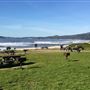 Half Moon Bay State Beach (SB)
