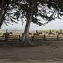 Half Moon Bay State Beach (SB)