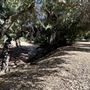 Orcutt Ranch Horticultural Center & Community Garden
