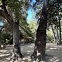 Orcutt Ranch Horticultural Center & Community Garden