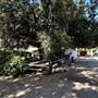 Orcutt Ranch Horticultural Center & Community Garden