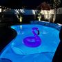 The Pink Lotus (Home w/ Modern Interior & Tropical Oasis Exterior)