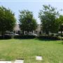 Terry Arcadia Property