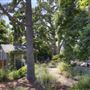 Vista Cottage
