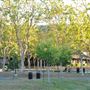 Foothill Community College