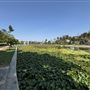 Echo Park Lake Recreation Center