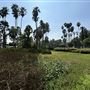 Echo Park Lake Recreation Center