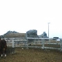 J G Angus Ranch