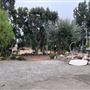 Swan Casa