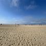 Santa Monica State Beach (SB) / Pacific Park Santa Monica Pier