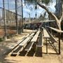 Syd Kronenthal Park
