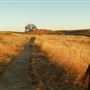 Crane Creek Regional Park