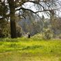 Ragle Ranch Regional Park