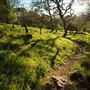 Spring Lake Regional Park