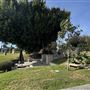 Hollywood Forever Cemetery