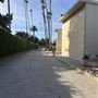 Hollywood Forever Cemetery